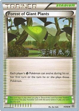 Forest of Giant Plants (15/23)