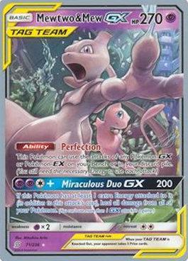 Mewtwo &amp; Mew-GX (01/25)