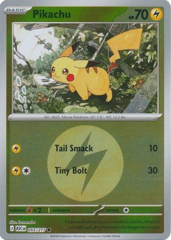 Pikachu (055E/217)