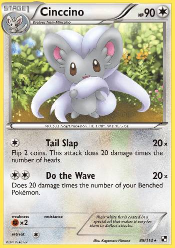 Cinccino