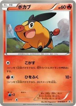 Tepig (019/236)
