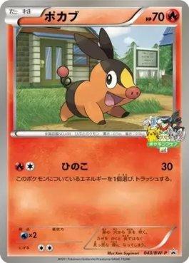 Tepig (043/236)