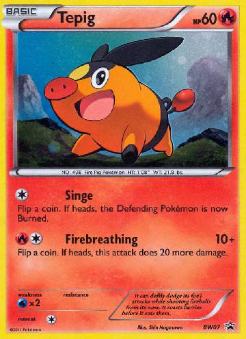 Tepig (BW07/99)