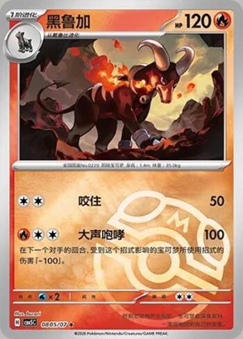 Houndoom (Master Ball Holo) (0805-07/196)