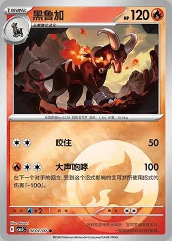 Houndoom(Energy Holo) (0801-07/196)