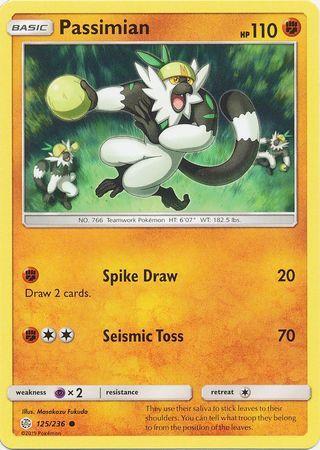Passimian (125/236)
