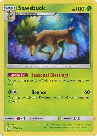 Sawsbuck (16/236)