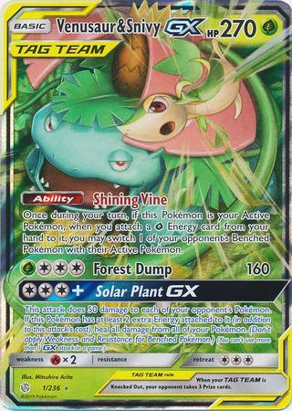 Venusaur &amp; Snivy-GX (1/236)