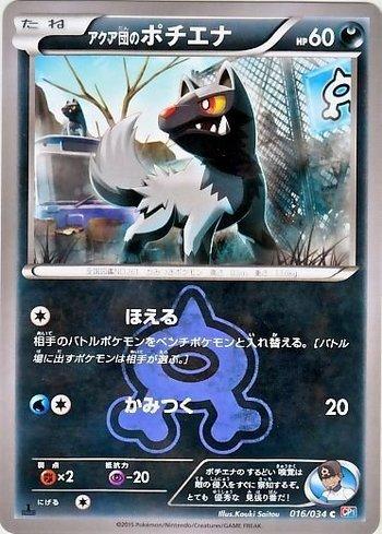 Team Aqua's Poochyena (016/034)