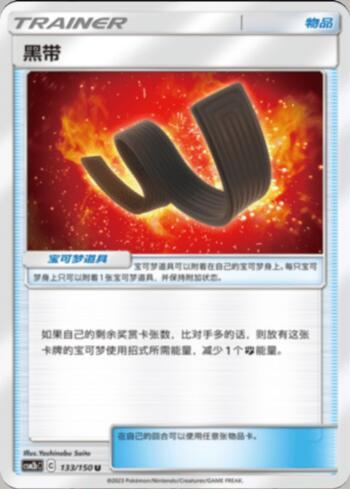 Karate Belt (133/193)