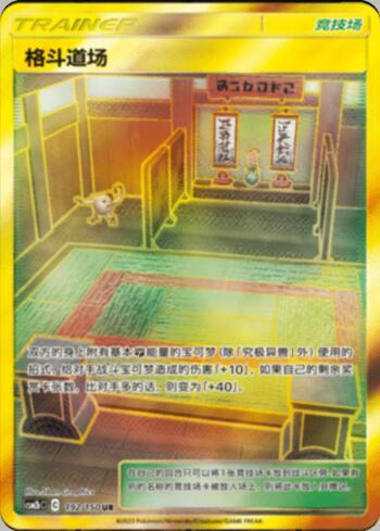 Martial Arts Dojo (192/193)