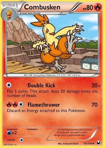 Combusken (16/108)