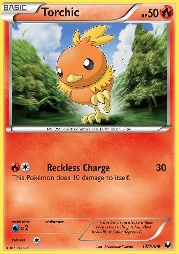 Torchic (14/108)