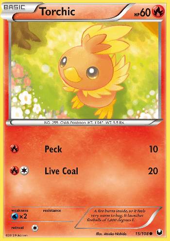 Torchic (15/108)