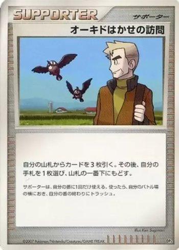 Professor Oak's Visit (013/018)