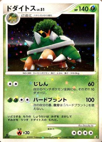 Torterra (003/015)