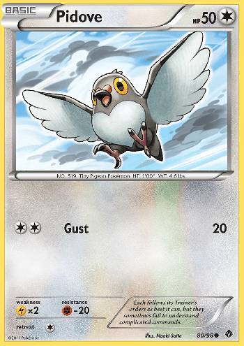 Pidove (80/98)