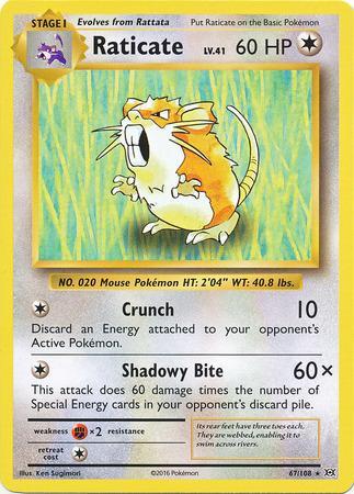 Raticate (67/108)