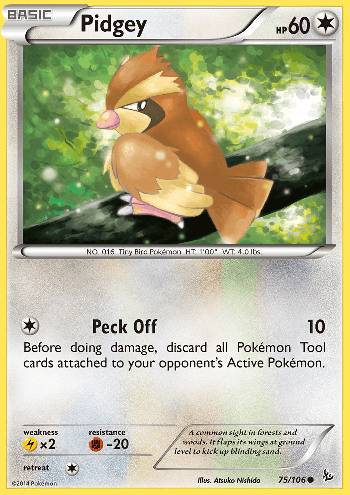Pidgey (75/106)