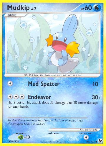 Mudkip (80/106)