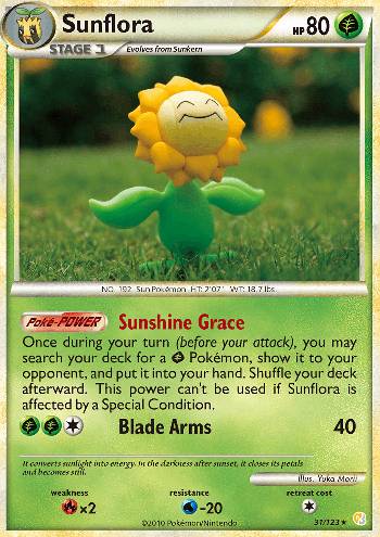 Sunflora (31/123)