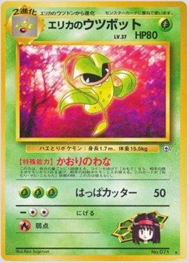 Erika's Victreebel (015/096)