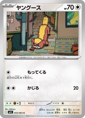 Yungoos (055/063)