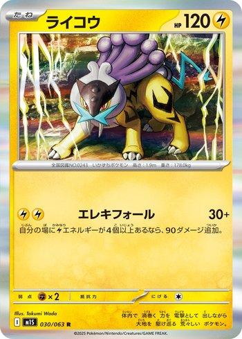 Raikou (030/063)