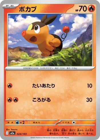 Tepig (024/193)