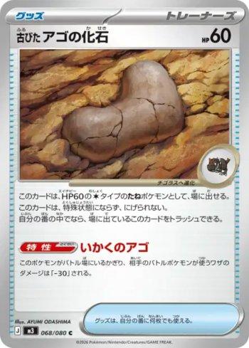 Antique Jaw Fossil (068/080)