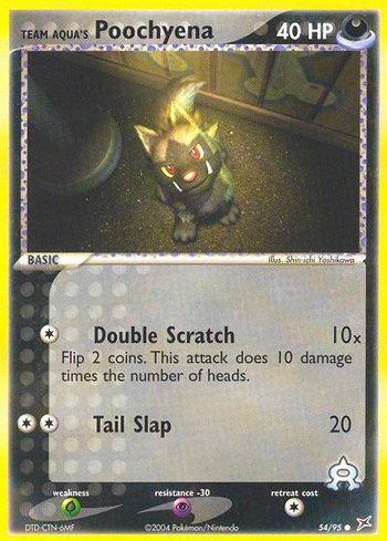 Team Aqua's Poochyena (54/95)