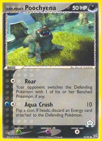Team Aqua's Poochyena (55/95)