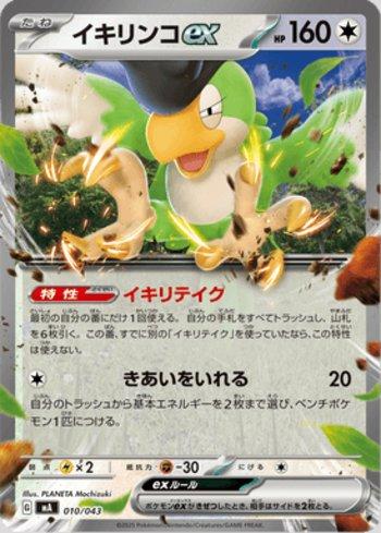 Squawkabilly ex (010/043)