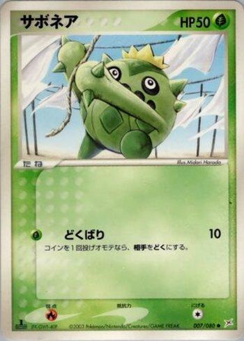 Cacnea (007/080)
