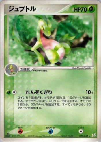 Grovyle (005/080)