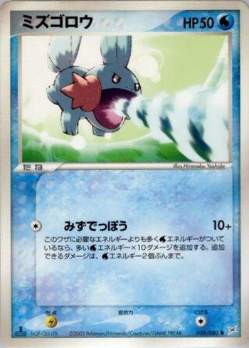 Mudkip (028/080)