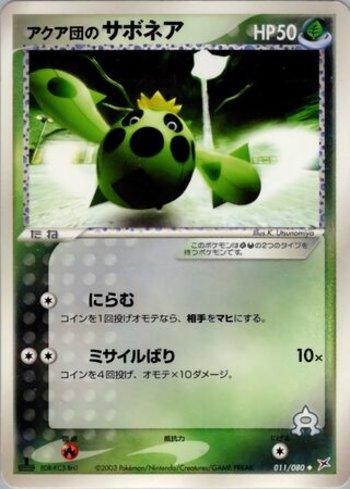 Team Aqua's Cacnea (011/080)