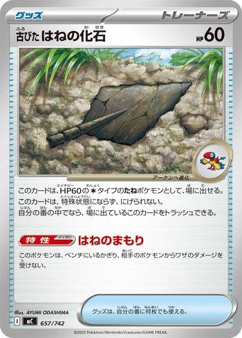 Antique Plume Fossil (657/742)