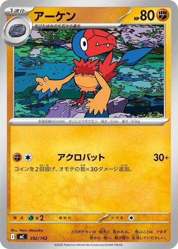 Archen (392/742)