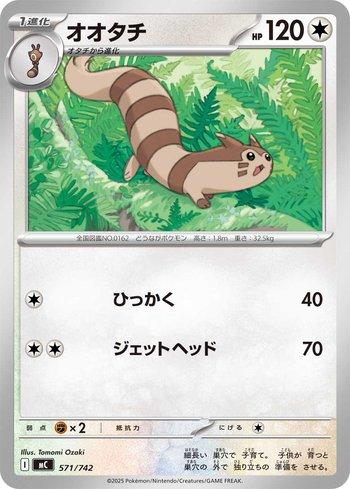 Furret (571/742)