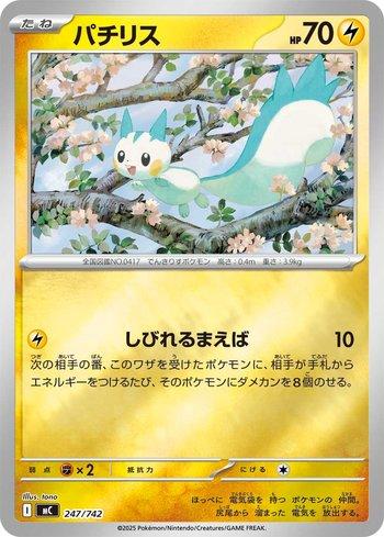 Pachirisu (247/742)