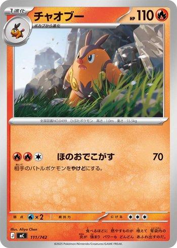 Pignite (111/742)