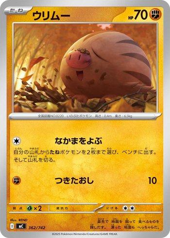 Swinub (362/742)