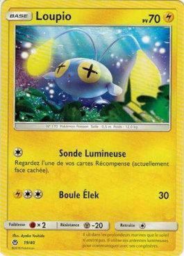 Chinchou (19/40)