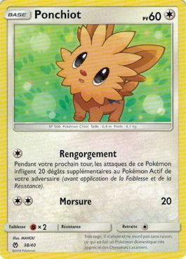 Lillipup (38/40)