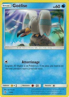 Wingull (13/40)