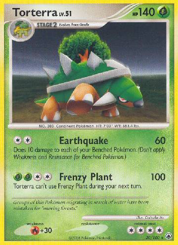Torterra (30/100)