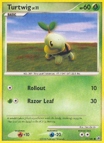 Turtwig (77/100)
