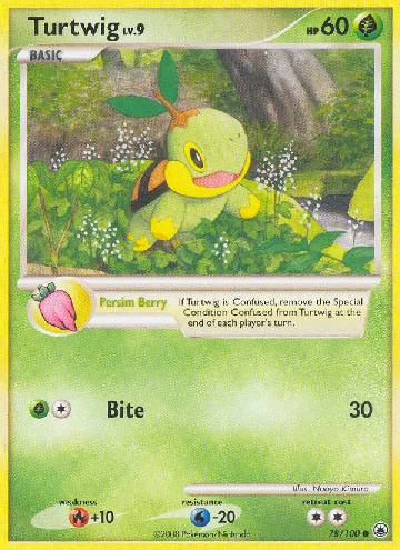 Turtwig (78/100)