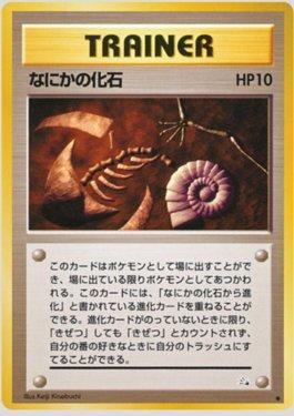 Mysterious Fossil (046/048)